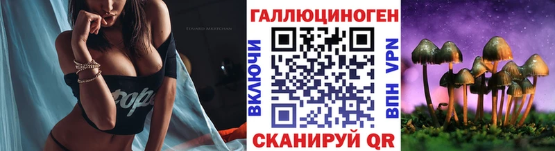 Галлюциногенные грибы Cubensis где купить Заволжье