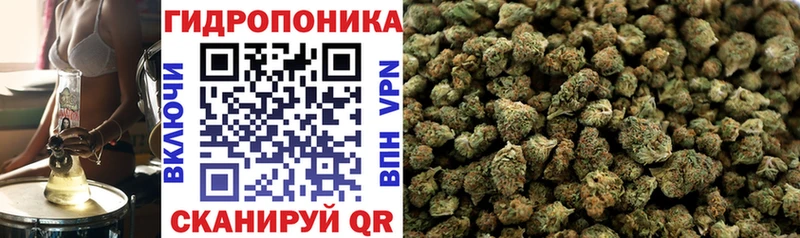 Каннабис VHQ  где можно купить   Заволжье 
